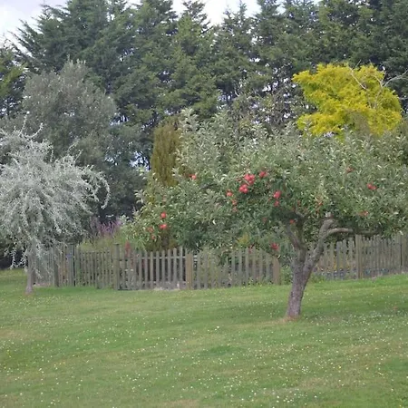 The Willow Studio - Peaceful Retreat Near Whitstable Seaside Faversham Exterior photo