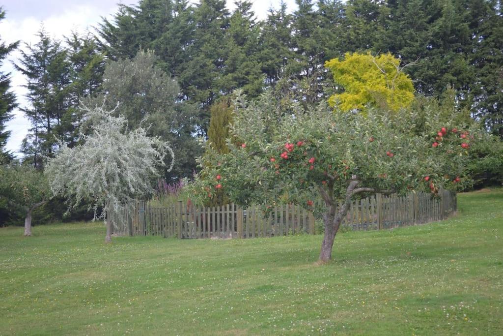 The Willow - Peaceful Retreat Near Whitstable Seaside