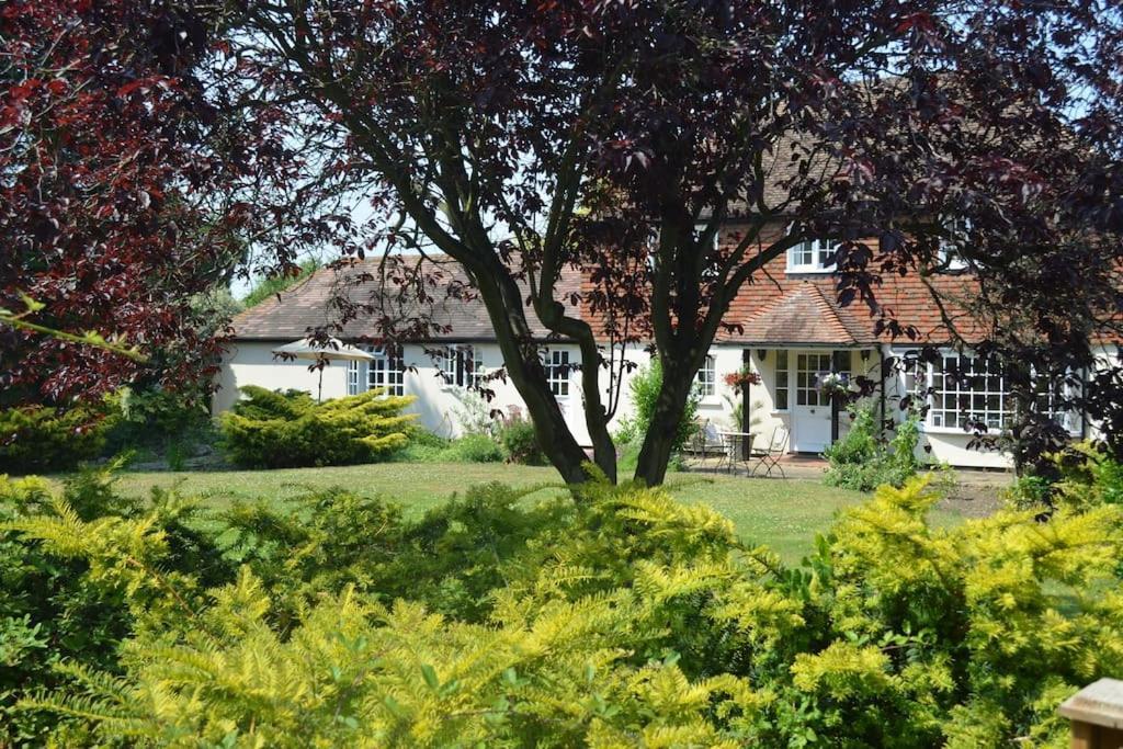 The Willow - Peaceful Retreat Near Whitstable Seaside Apartment *